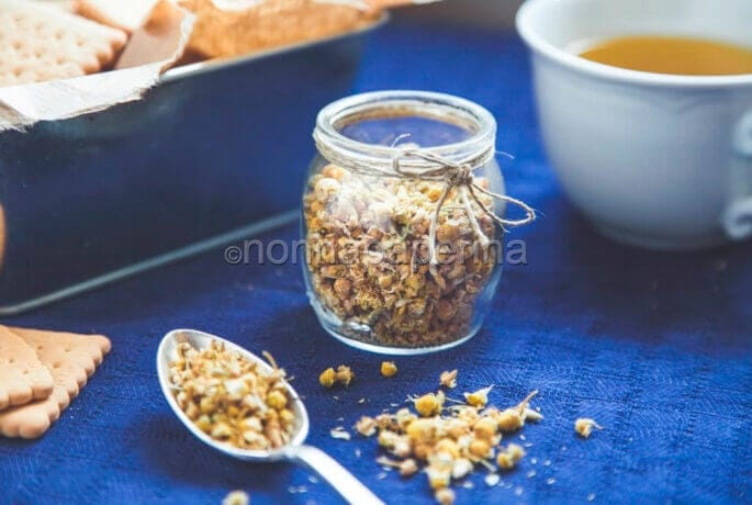 Rimedi fai-da-te: come essiccare la camomilla Rimedi fai-da-te: come essiccare la camomilla