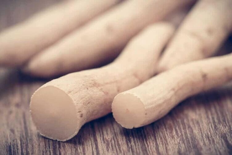 Shatavari: una pianta che regala giovinezza e salute Shatavari