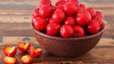 Acerola: un concentrato di vitamina C e non solo Acerola: un concentrato di vitamina C e non solo