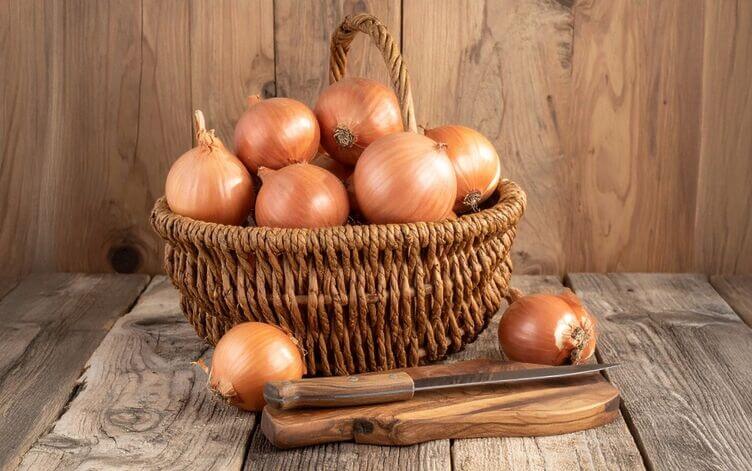 cipolla ramata di Montoro