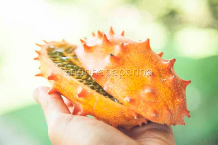 Kiwano: dalla Nuova Zelanda il frutto cornuto kiwano
