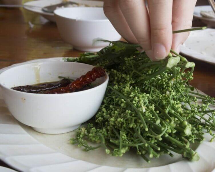 L’albero di Neem e tutte le proprietà curative neem