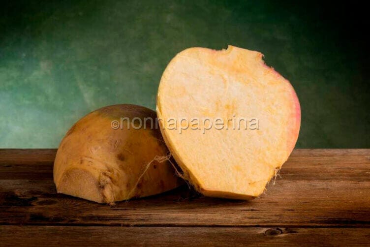 radice di rutabaga