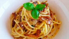 Spaghetti avellinesi, sapori d’Irpinia da riscoprire Spaghetti avellinesi, sapori d’Irpinia da riscoprire