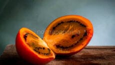 Tamarillo rosso