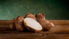 Taro: miniera di minerali… a colesterolo zero