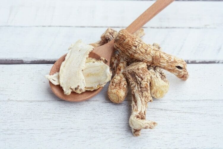 Dong Quai: benessere e fertilità per la tua salute dong quai