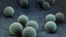 Allergia all’Ambrosia, anche il cibo può essere nemico Allergia all’Ambrosia, anche il cibo può essere nemico