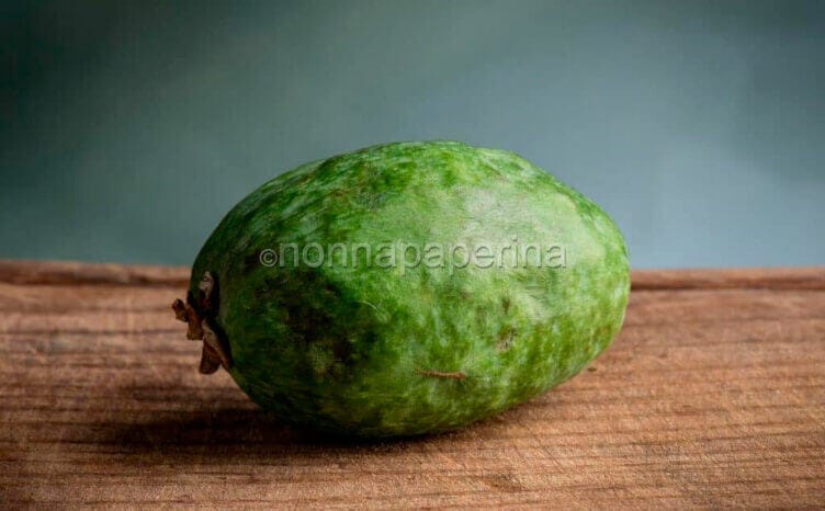 chayote
