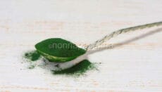 spirulina