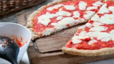 Pizza da piatto con quinoa: un’idea senza glutine Pizza da piatto con quinoa: un’idea senza glutine