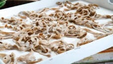 Tagliatelle con grano saraceno e tapioca, un piatto salutare Tagliatelle con grano saraceno e tapioca, un piatto salutare