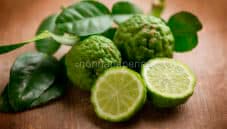 Combava o Papeda delle Mauritius, agrume particolare