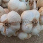 Depurarsi dai metalli pesanti