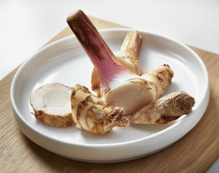 Galanga: radice benefica dal sapore inconfondibile Galanga