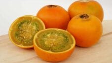 Lulo: delizia dalle Ande per preparare conserve e dolci