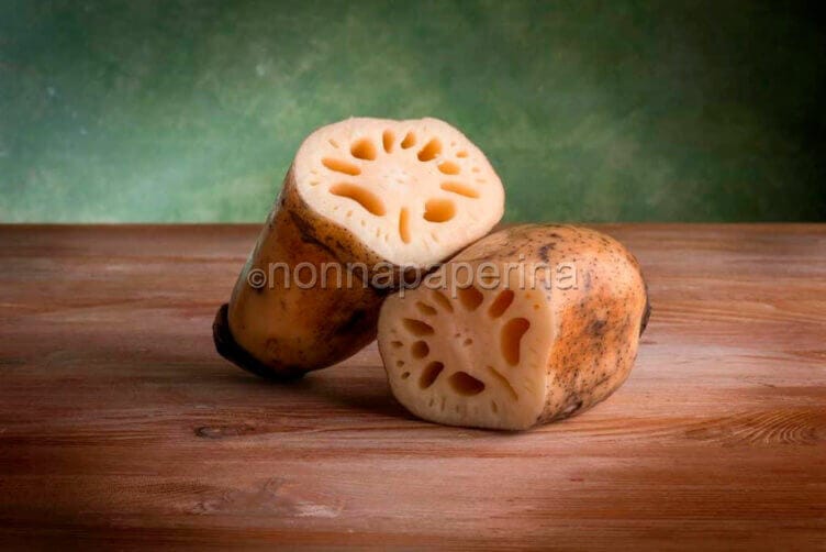 Radice di loto Radice di loto