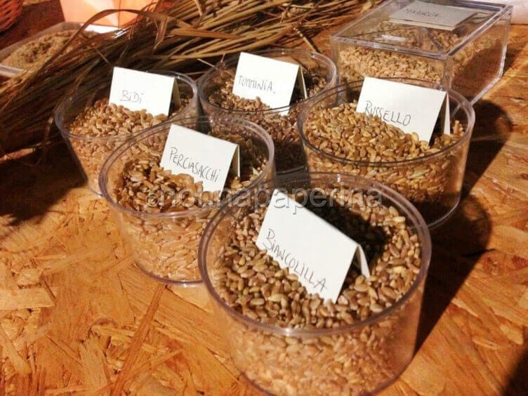 grani antichi siciliani