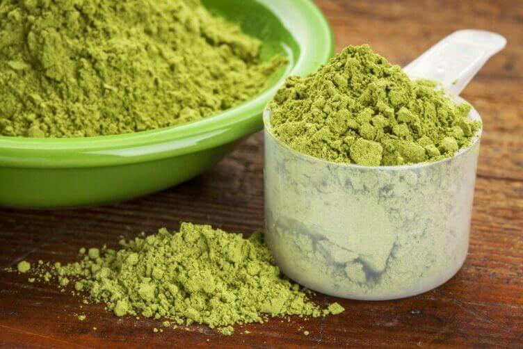 moringa in polvere