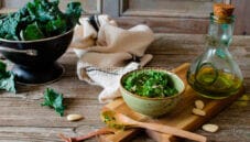 Pesto di kale o cavolo riccio : un tocco di raffinatezza Pesto di kale o cavolo riccio : un tocco di raffinatezza