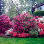 Cena di gala con i grandi Chef a Villa Patrizia