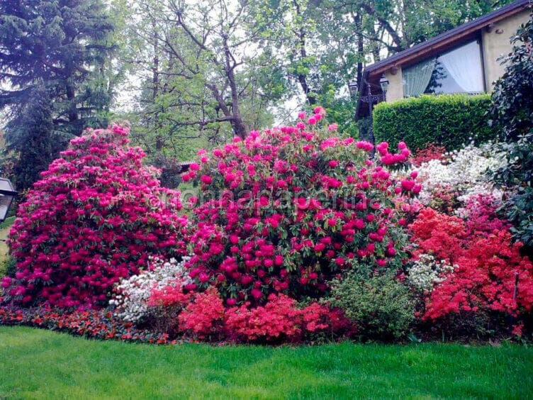 Cena di gala con i grandi Chef a Villa Patrizia Villa Patrizia