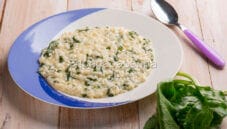 Risotto alle bietole e parmigiano, semplicità in tavola
