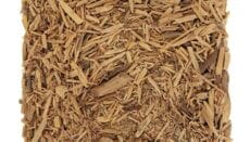 Muira Puama Herb