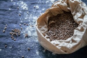 sacchetto con semi di lino Semi di Lino