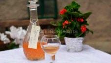 Liquore di amarene aromatizzato alla vaniglia