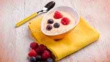 Semifreddo al melone: una ventata d’estate Semifreddo al melone: una ventata d’estate