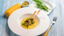 Zuppetta di mais con girelle di aguglia: squisito!