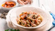 Conchiglie di mare, tante proprietà in un solo piatto