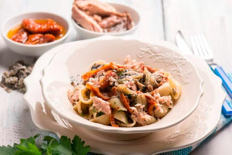 conchiglie di mare