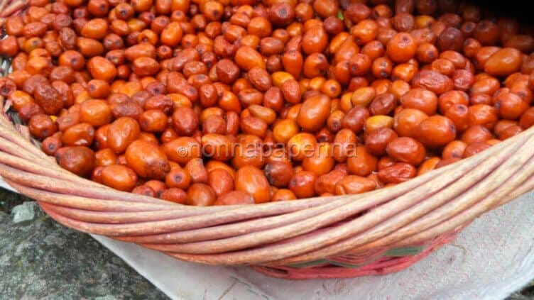 “Andar per Colli”: l’escursione sui Colli Euganei