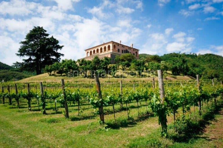 Andar per Colli