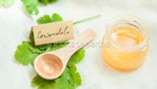 Raro e insolito: Miele di coriandolo Raro e insolito: Miele di coriandolo