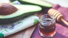 Miele di avocado dalle notevoli proprietà