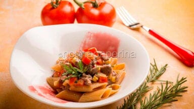 pennoni con ragu di anatra