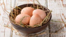 A tavola con le deliziose e nutrienti uova di faraona!