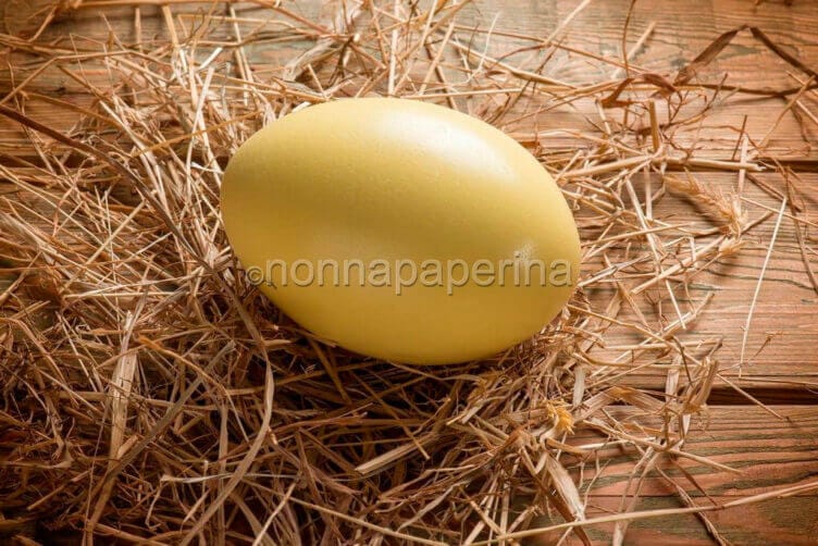 Le grandi uova di nandù e le loro qualità uova di nandu