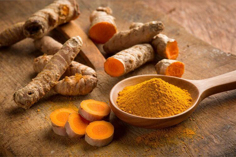 radici di curcuma fresca e curcuma in polvere