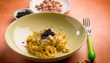 Gramigna con crema alle nocciole e tartufo, una delizia