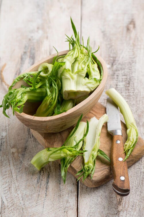 PUNTARELLE PUNTARELLE