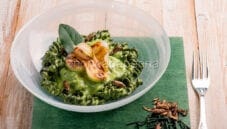 Pasta con alga spirulina, crema di basilico e grilli