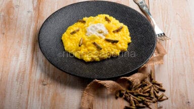 risotto curcuma e stracciatella di latte con cavallette