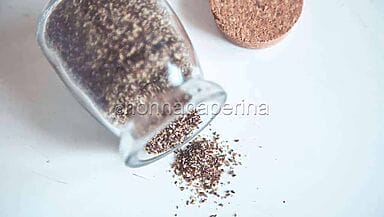 Semi di chia