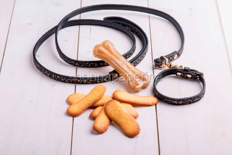 Biscotti per cani senza glutine e lattosio: anche per loro! biscotti per cani
