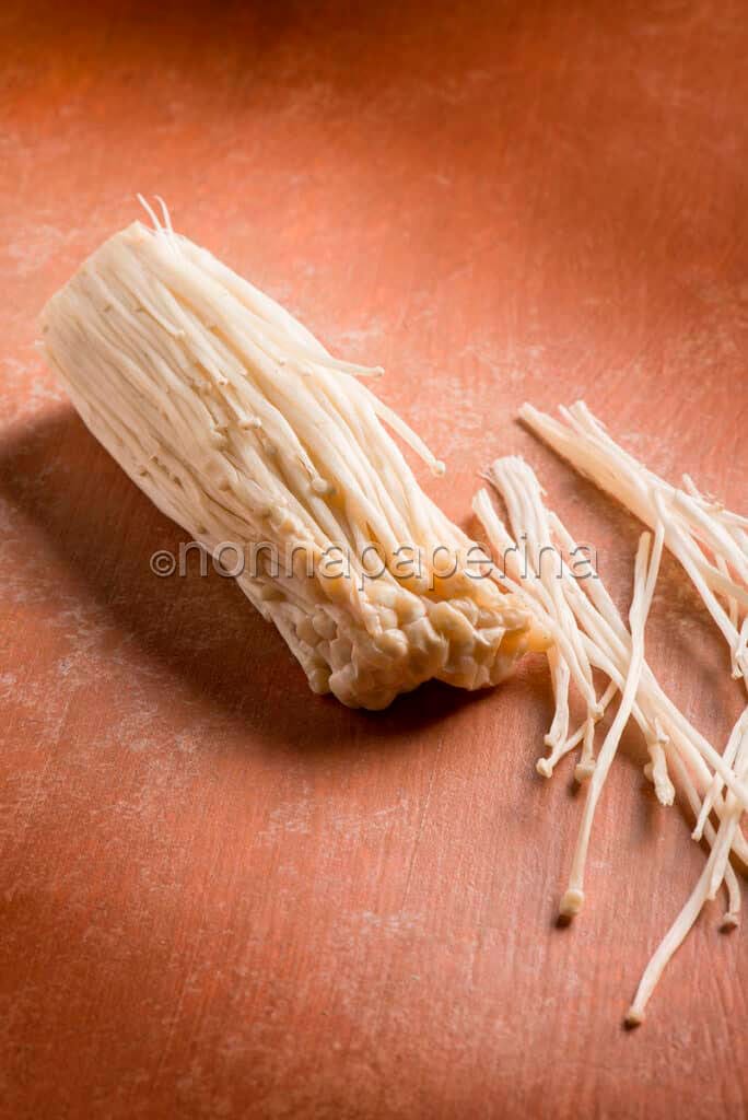funghi enoke funghi enoki ver