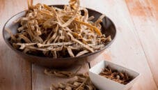 Tagliatelle con farina di grillo? Assaggiamole! Tagliatelle con farina di grillo? Assaggiamole!